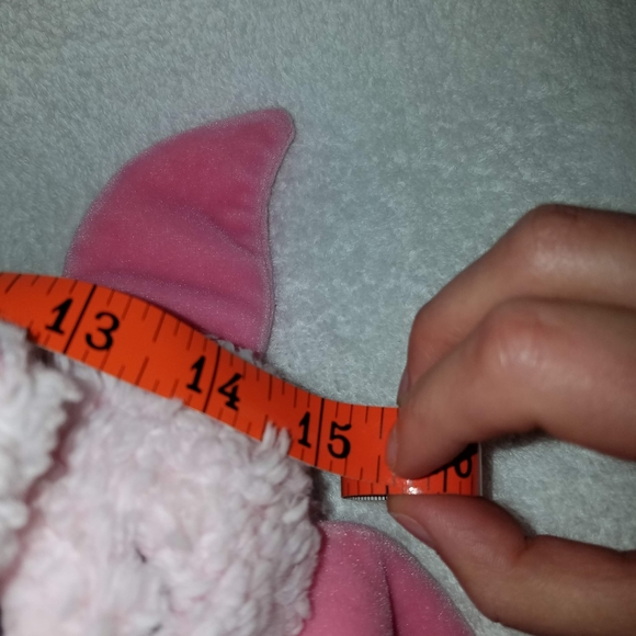 Piglet - Picture 6 of 7